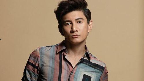演员吴奇隆,从偶像到实力派，演艺生涯的华丽蜕变