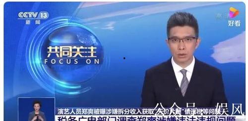 政府会整顿娱乐圈吗,政府重拳出击，行业洗牌在即